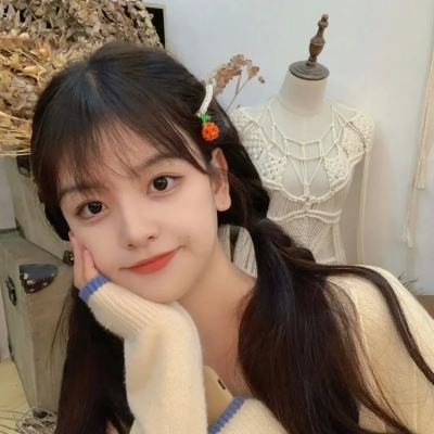 崩坏学院bt版下载